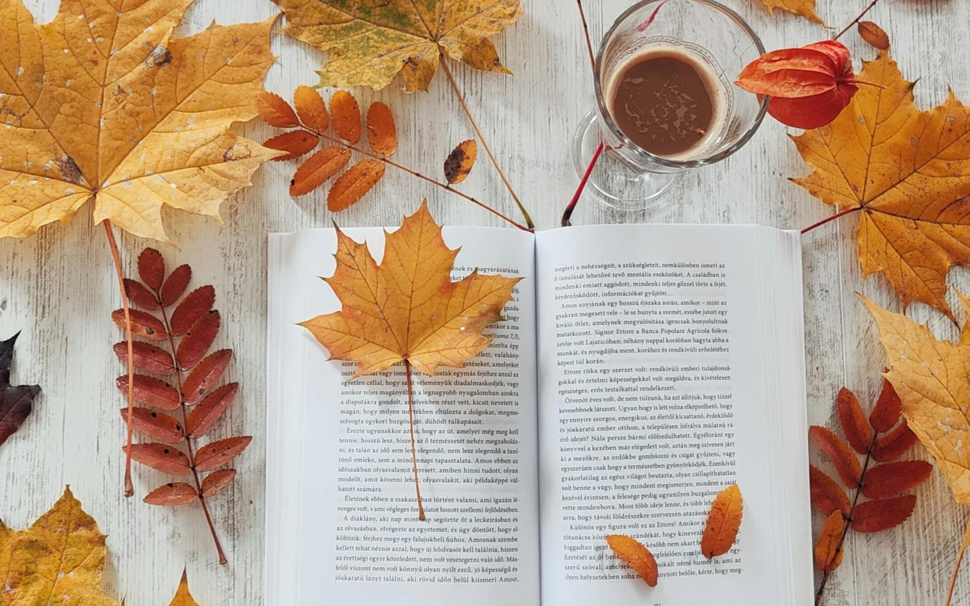blätter buch